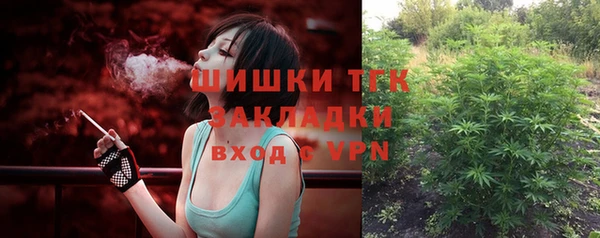 сатива Володарск